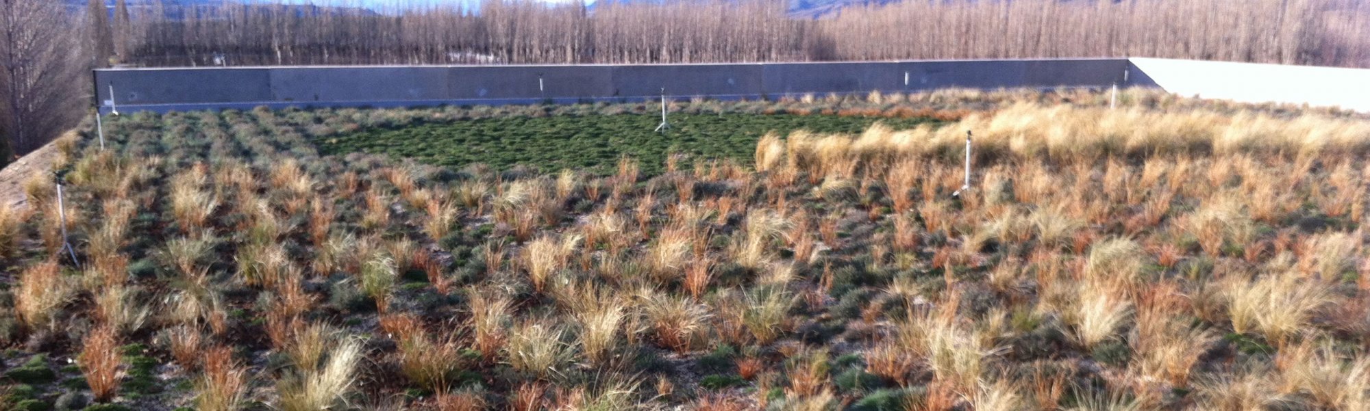 Mount Difficulty Winery