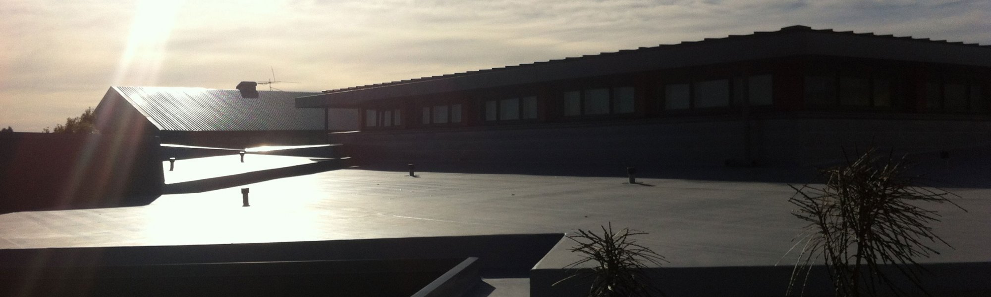 James Hargest School