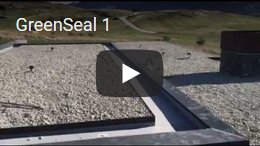 greenseal-vid1.jpg