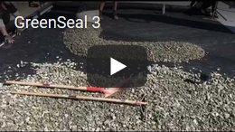 greenseal-vid3.jpg